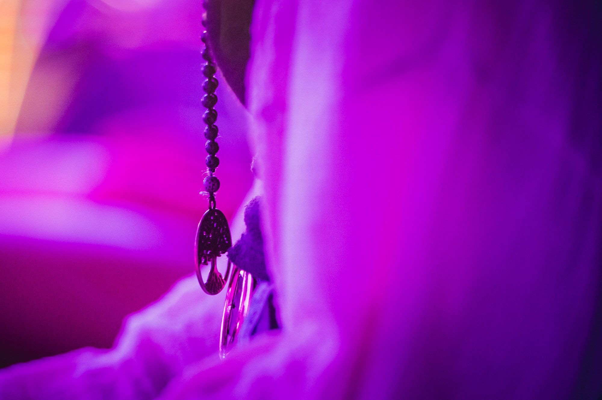 Bahar & Jeffrey – Heartwall Eventfoto 28 von 54